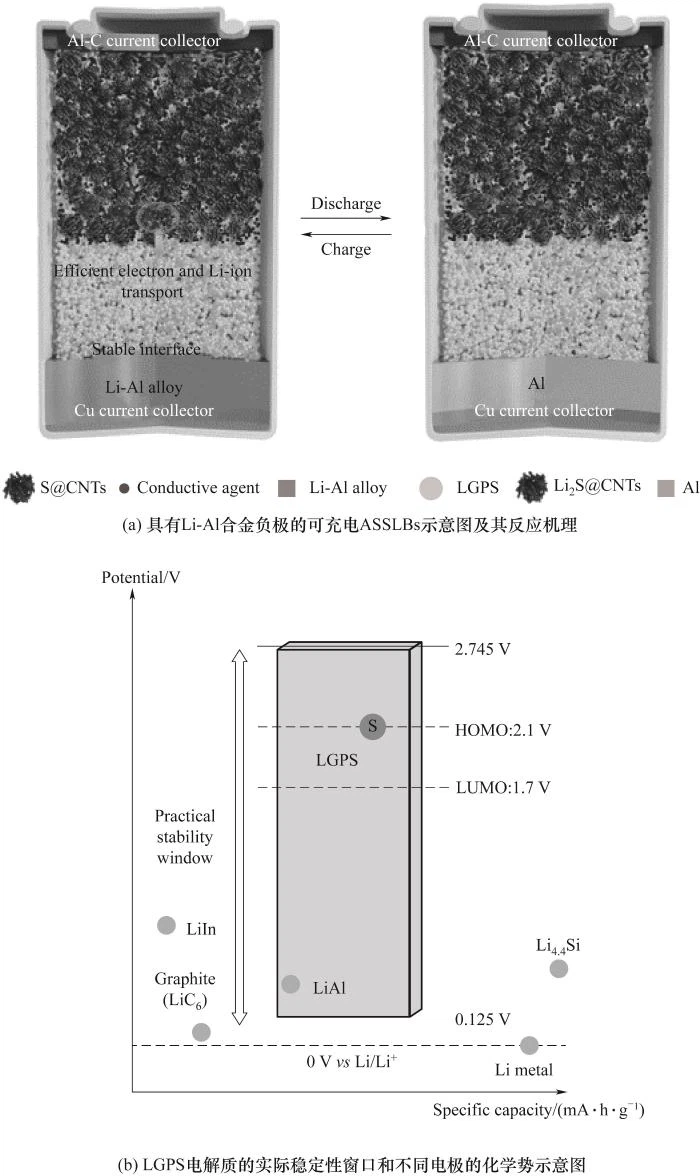 Fig.7 Schematics of the Li-Al alloy anode in ASSLBs Fig.7 Schematics of the Li-Al alloy anode in ASSLBs